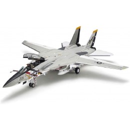 ZCYXQR Kits de modèles de Puzzle de Combattant Militaire échelle 1 48 Chat Persan F-14A Combattant Tomcat IRIAF modèle en Plastique 15.7 Pouces X 16 Pouces - BMBMWZBBY